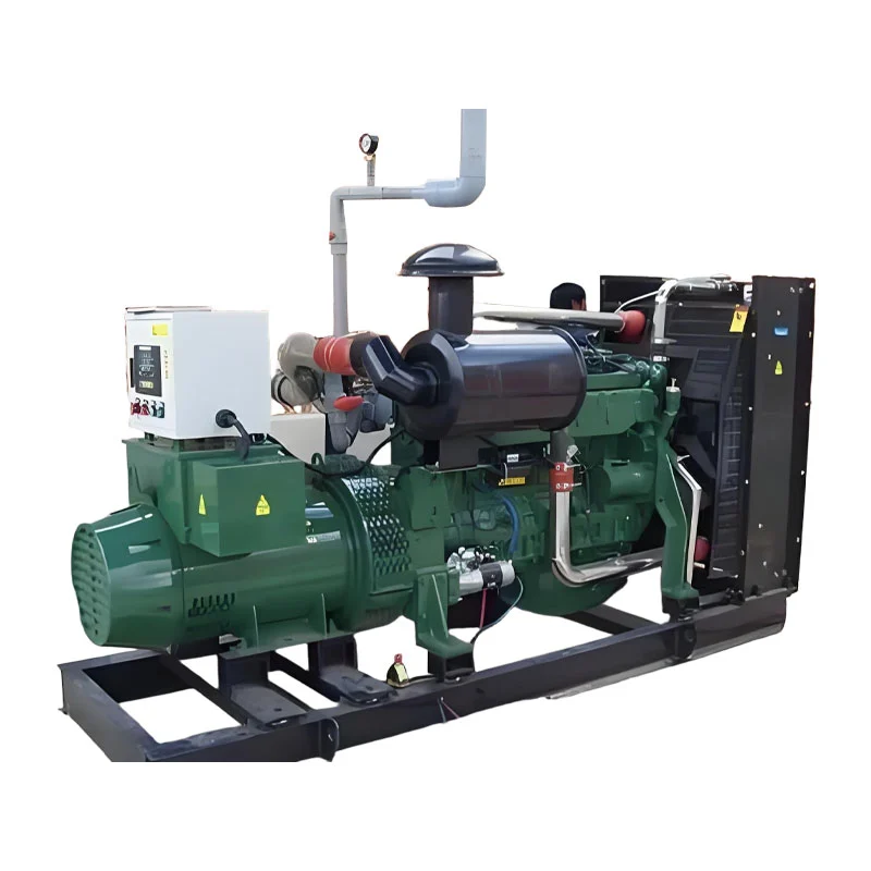 Set Generator Biogas Pig Farm